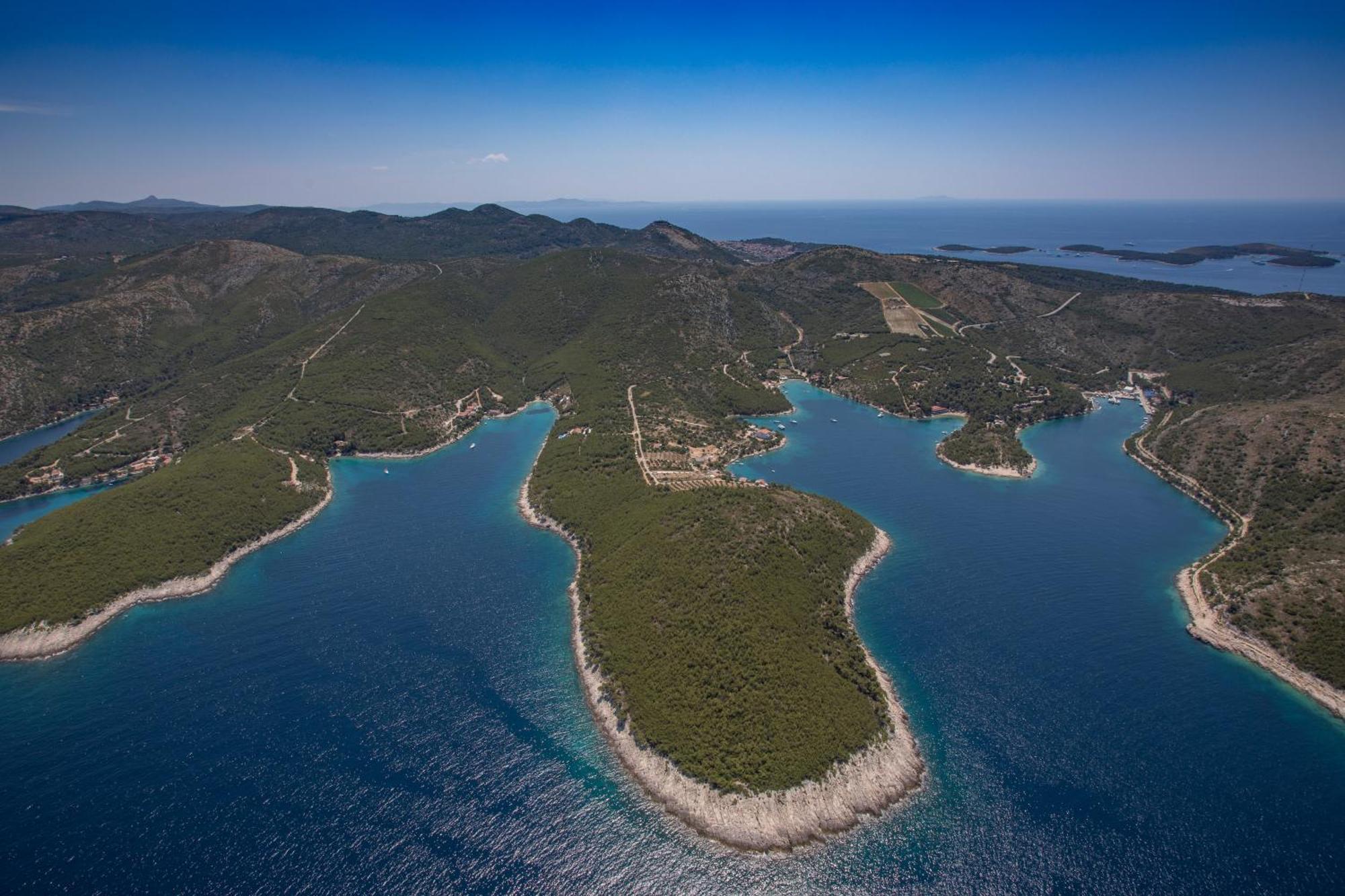 Doris Hvar